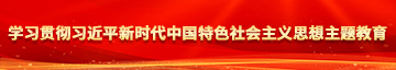 狠狠操骚逼网学习贯彻习近平新时代中国特色社会主义思想主题教育